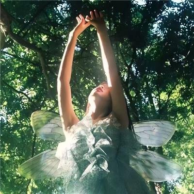 花甲少年趣旅行第四季 海报